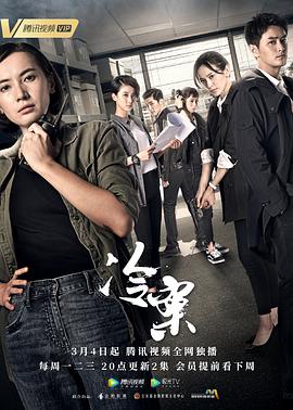 冷案 2019 电视剧 海报