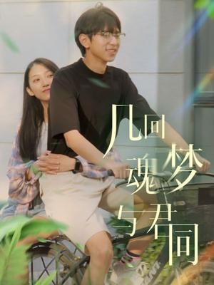 几回魂梦与君同 2024 电视剧 海报