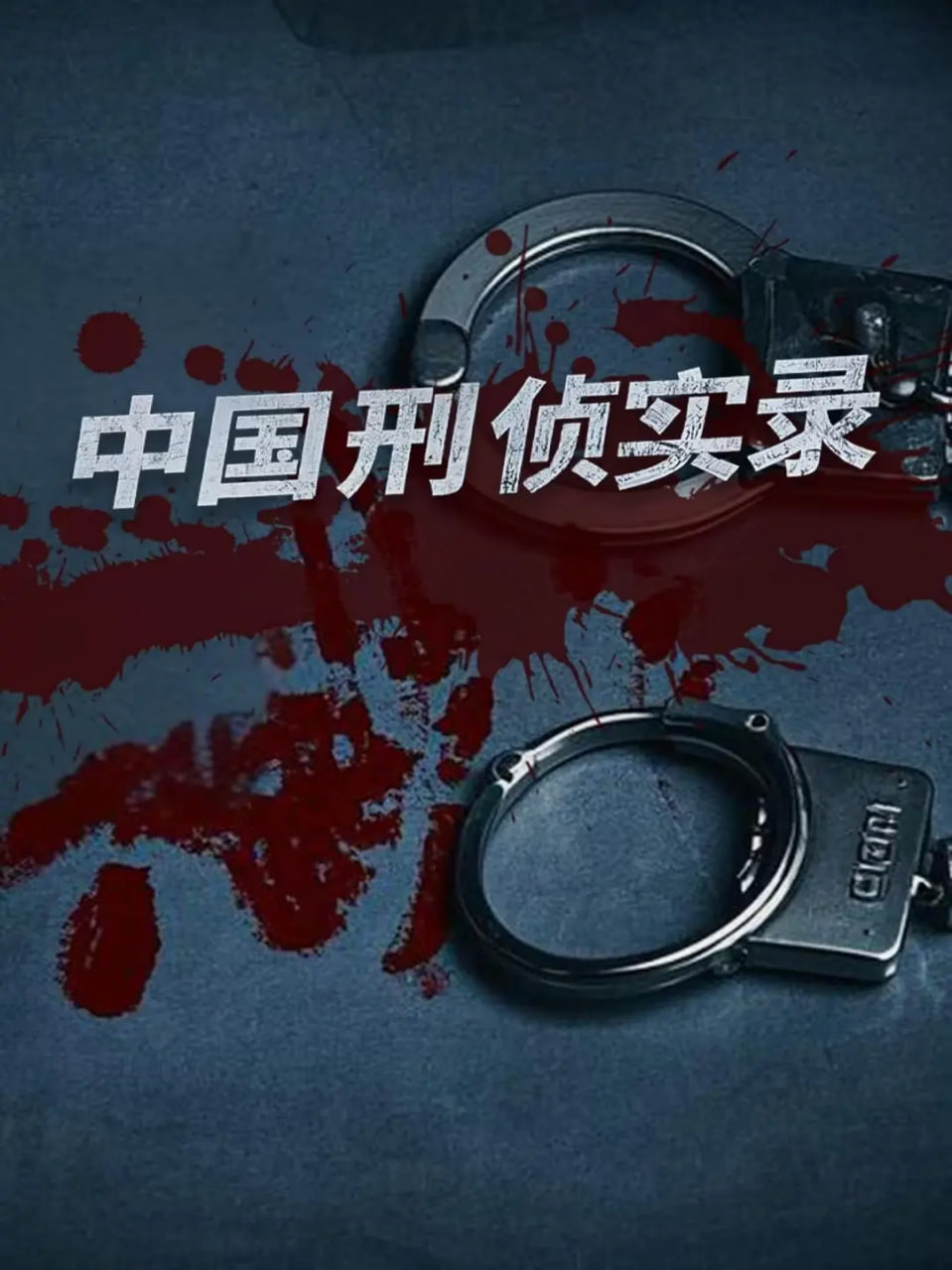 中国刑侦实录第一季 2024 纪录片 海报