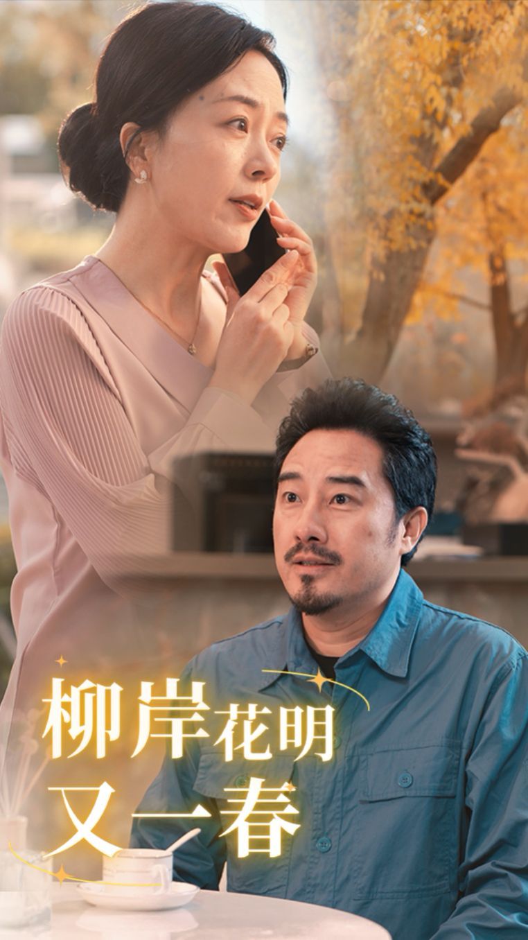 柳暗花明又一春 2024 短剧 海报