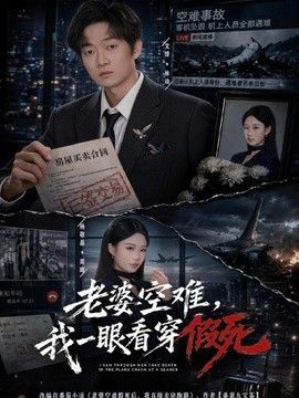 老婆空难，我一眼看穿假死 2026 短剧 海报