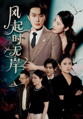 风起时无 2025 短剧 海报