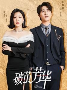 破茧芳华 2024 短剧 海报